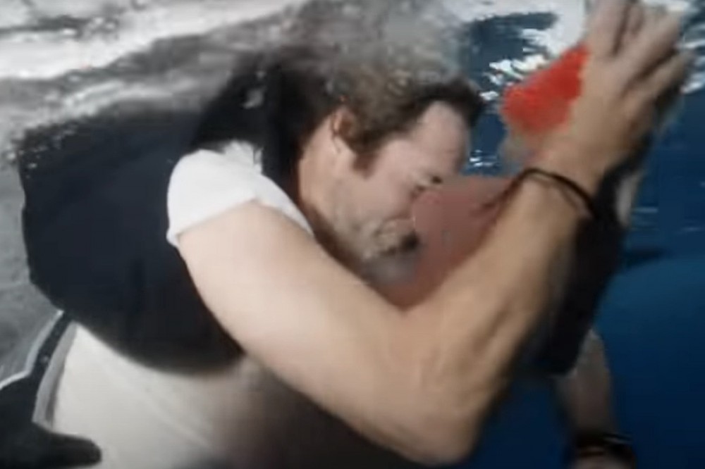 ‘Jackass Forever’ Guest Star Rushed to Hospital After Shark Attack ‘Jackass Forever’ Guest Star Rushed to Hospital After Shark Attack