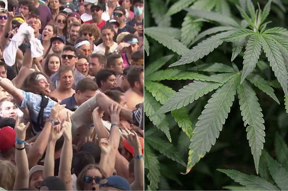 Lollapalooza Helped Illinois Reach Recreational Marijuana Sales Record Lollapalooza Helped Illinois Reach Recreational Marijuana Sales Record