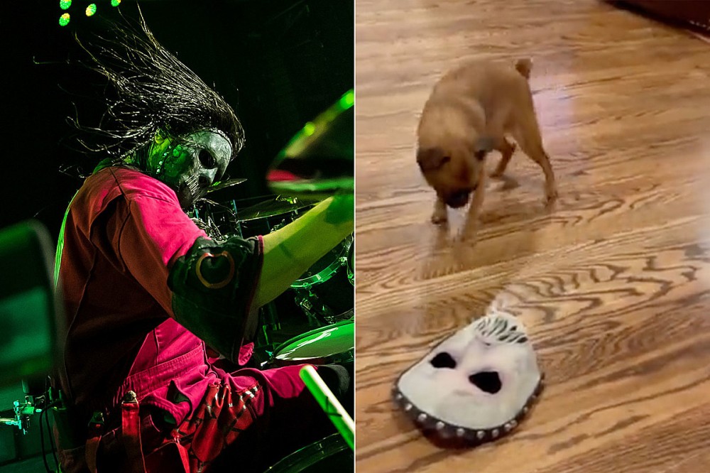 Watch Slipknot Drummer Jay Weinberg’s Dog React To His New Mask Watch Slipknot Drummer Jay Weinberg’s Dog React To His New Mask