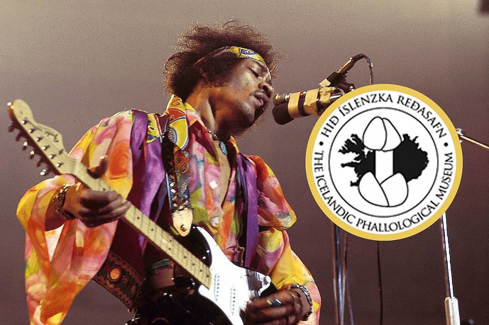 Mold of Jimi Hendrix’s Penis to Be Displayed in Iceland’s Phallological Museum