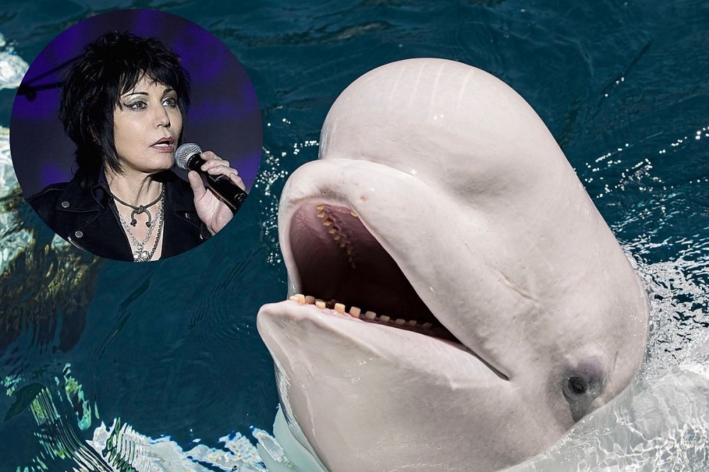 Joan Jett Slams SeaWorld for Sexually Abusing Marine Animals Joan Jett Slams SeaWorld for Sexually Abusing Marine Animals