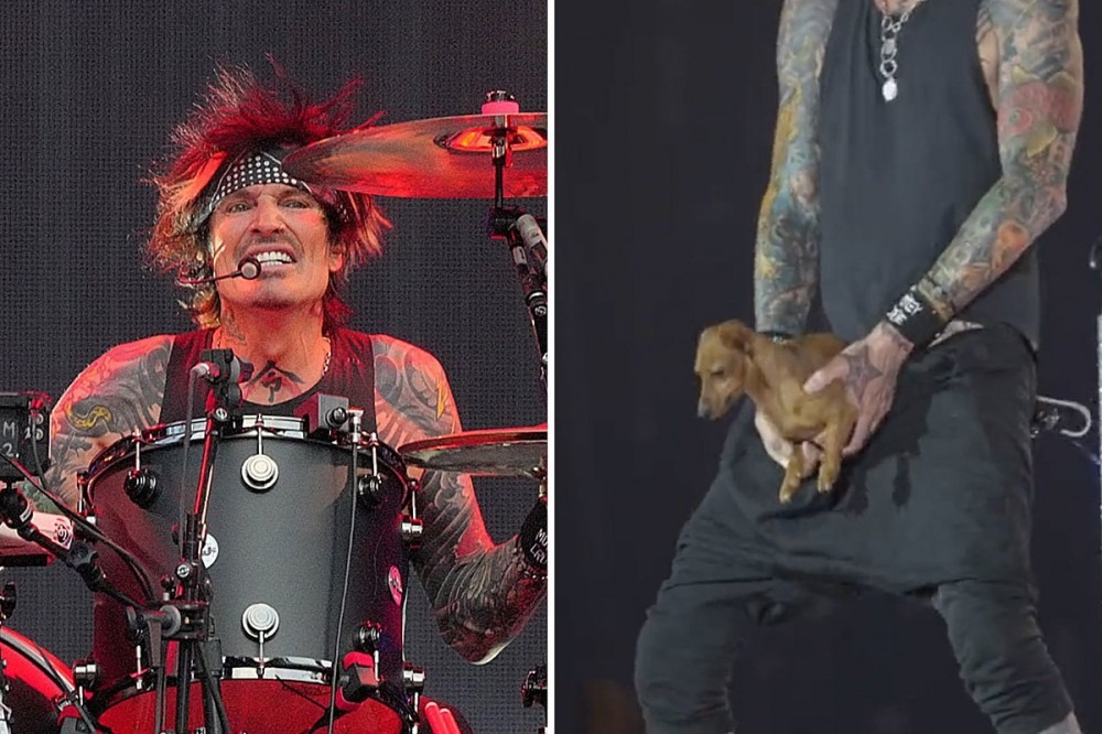 Motley Crue’s Tommy Lee Pulls Real-Life Wiener Dog Out of His Pants Onstage Motley Crue’s Tommy Lee Pulls Real-Life Wiener Dog Out of His Pants Onstage